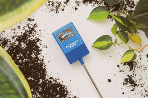 custom how to use a moisture meter for plants|moisture meter for plants guidelines.